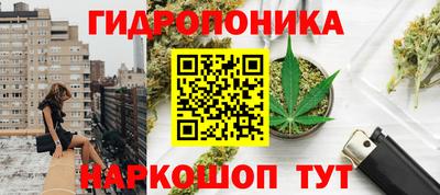дмт Малгобек