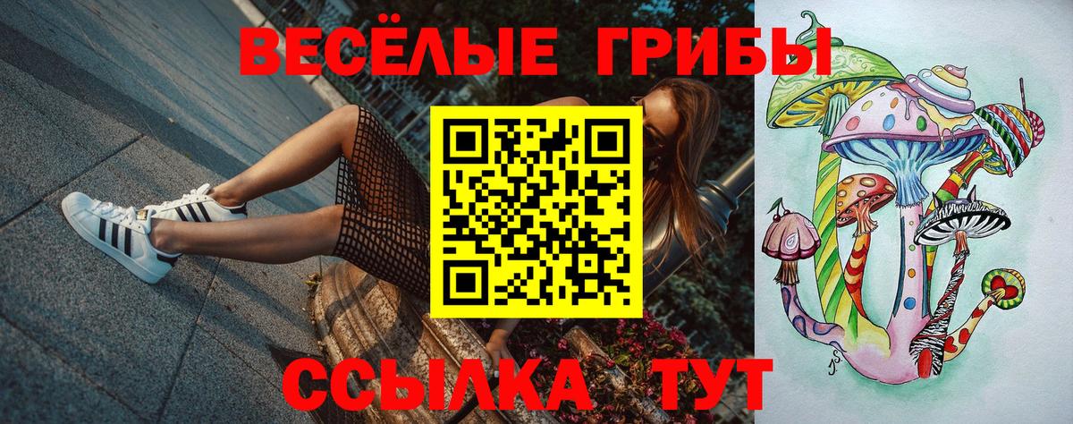 Псилоцибиновые грибы MAGIC MUSHROOMS  Вход с VPN  Урус-Мартан  Псилоцибиновые грибы прущие грибы 
